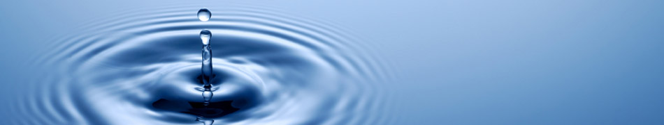 Herman Kurz / Consultoría Organizacional